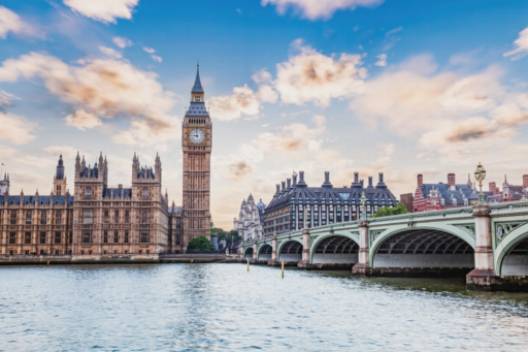 Encuentros con animales en los zoológicos y acuarios de Londres.