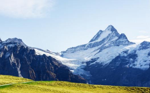 La flora y fauna de la región de Aletsch