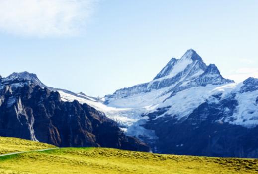 Explorando la rica tradición del queso suizo en los Alpes.