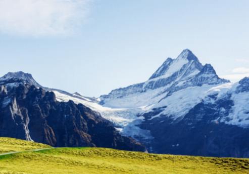 Viñedos en Altura: Descubriendo los Vinos Alpinos Suizos