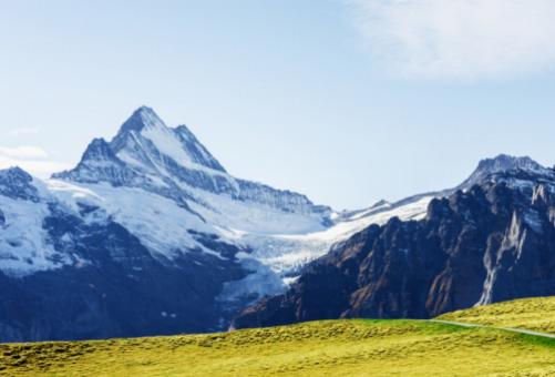 Jardines Botánicos Alpinos: Preservando la Flora de los Alpes Suizos.